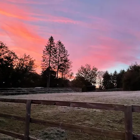 Etzauer Muehle Im Taunus *