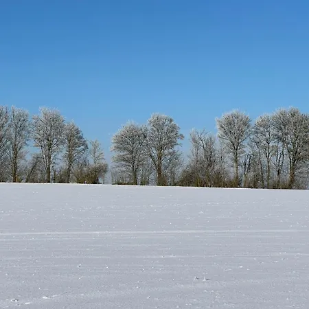 Etzauer Muehle Im Taunus 公寓 威尔罗德