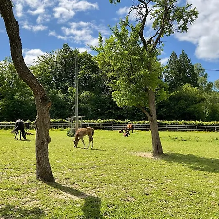 شقة Etzauer Muehle Im Taunus *