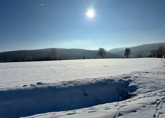 Etzauer Muehle Im Taunus Apartamento *