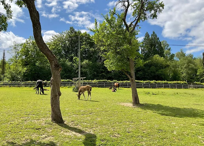 Apartamento Etzauer Muehle Im Taunus *